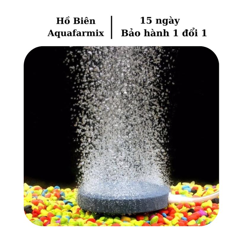  Đĩa sủi Oxy cao cấp siêu mịn kích thước 4cm cho bể cá cảnh bể thủy sinh cục sủi oxy 
