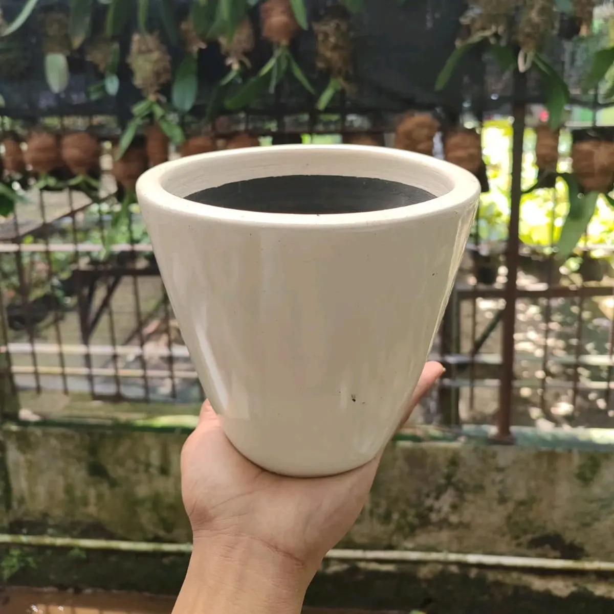 pot dengdoy koleksi dan premium satuan