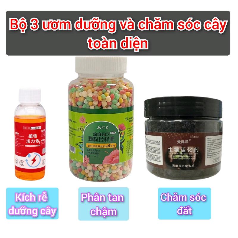 Bộ 3 ươm, dưỡng và chăm sóc đất- cây toàn diện: KÍCH HOẠT ĐẤT+ NƯỚC VÀNG TIA SÉT+ VIÊN TAN CHẬM sử dụng cho tất cả các loại cây trồng đất: cây hoa, cây cảnh, cây ăn quả dễ thuốc  kích kclo3 bón