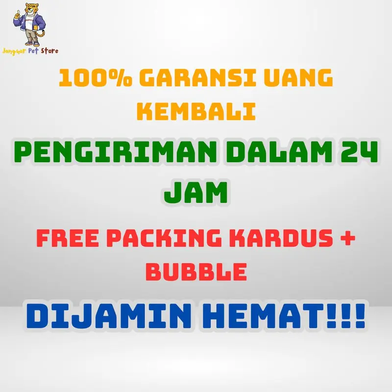 [GROSIR] KALUNG KUCING MOTIF GARIS WARNA BELL 14MM KALUNG KUCING LONCENG KALUNG KELINCI MUSANG ANJING LONCENG MOTIF GARIS 1