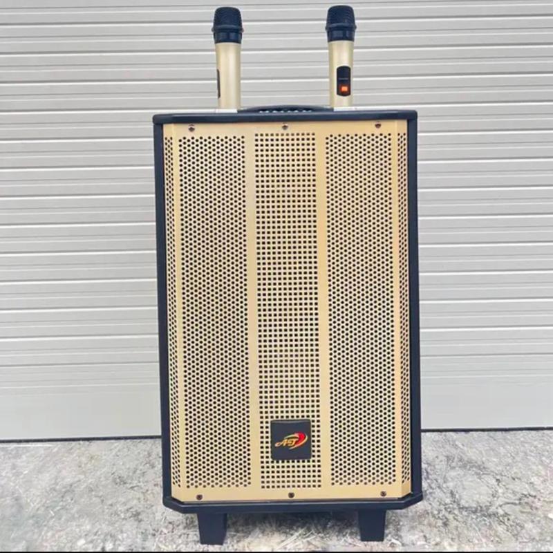 Loa kéo Thùng Gỗ T012 – Bass 30 Cực Ấm, Công Suất 300w, Kèm 2 MIcro Không Dây Hát Karaoke Di Động Củ Loa Kem Nghe Nhạc