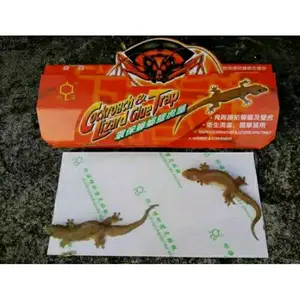 [perangkap cicak/kecoa] LEM CICAK DAN KECOA AMPUH BASMI CICAK/ KECOA