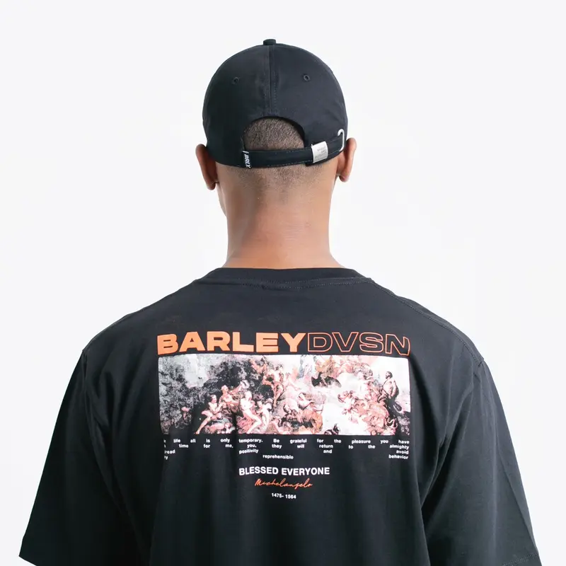 Barley Division - Sir Black Cap 3