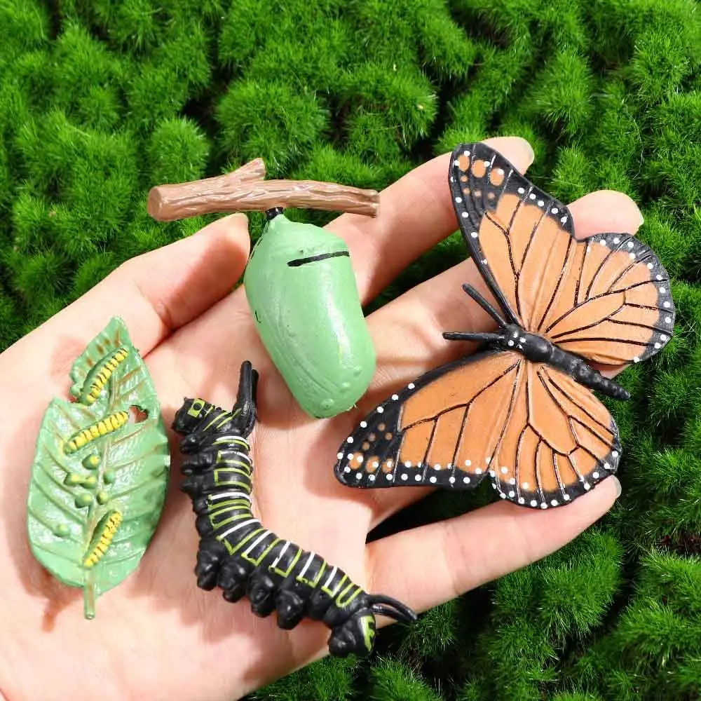 For Kid Educational Chicken Plastic Models Insect Animals Spider Life Cycle Figurine Action Figures Simulation Animals Growth Cycle Model