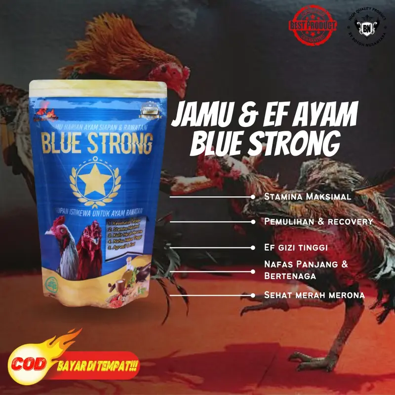 PAKET MAKSIMAL BN perlengkapan kebutuhan ayam siap adu jamu ayam ekstra fooding kemin kaki getah gambir badan obat cacing ganas merah merona agresif 2
