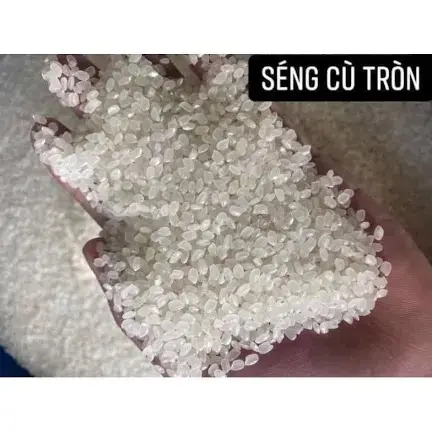 Gạo Séng Cù hạt tròn túi 10kg ưu đãi- gạo to tròn, cơm dẻo mềm như xôi food 4