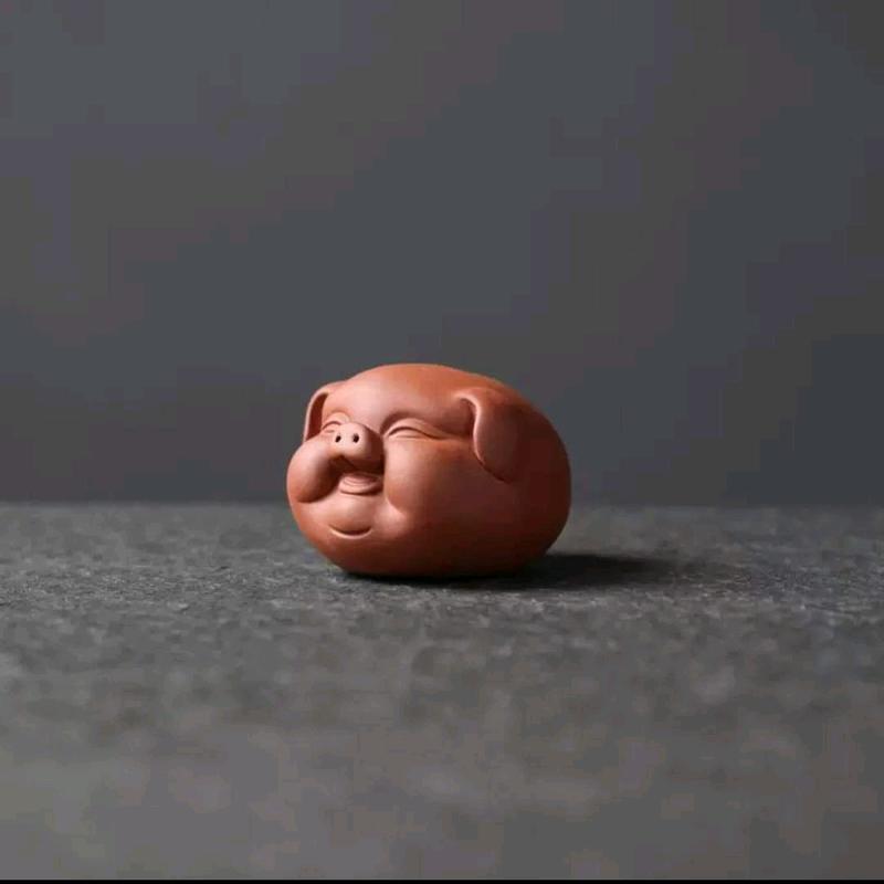 pet Heo để bàn trà 3