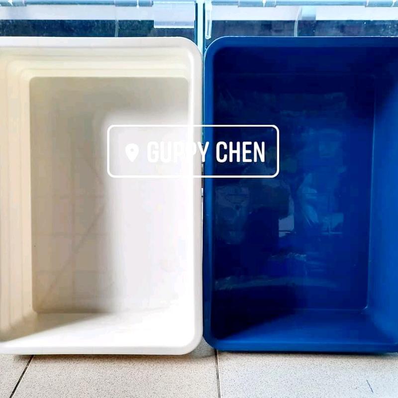 Khay Nhựa Nuôi Cá 16 Lít Kích Thước 50x35x13cm