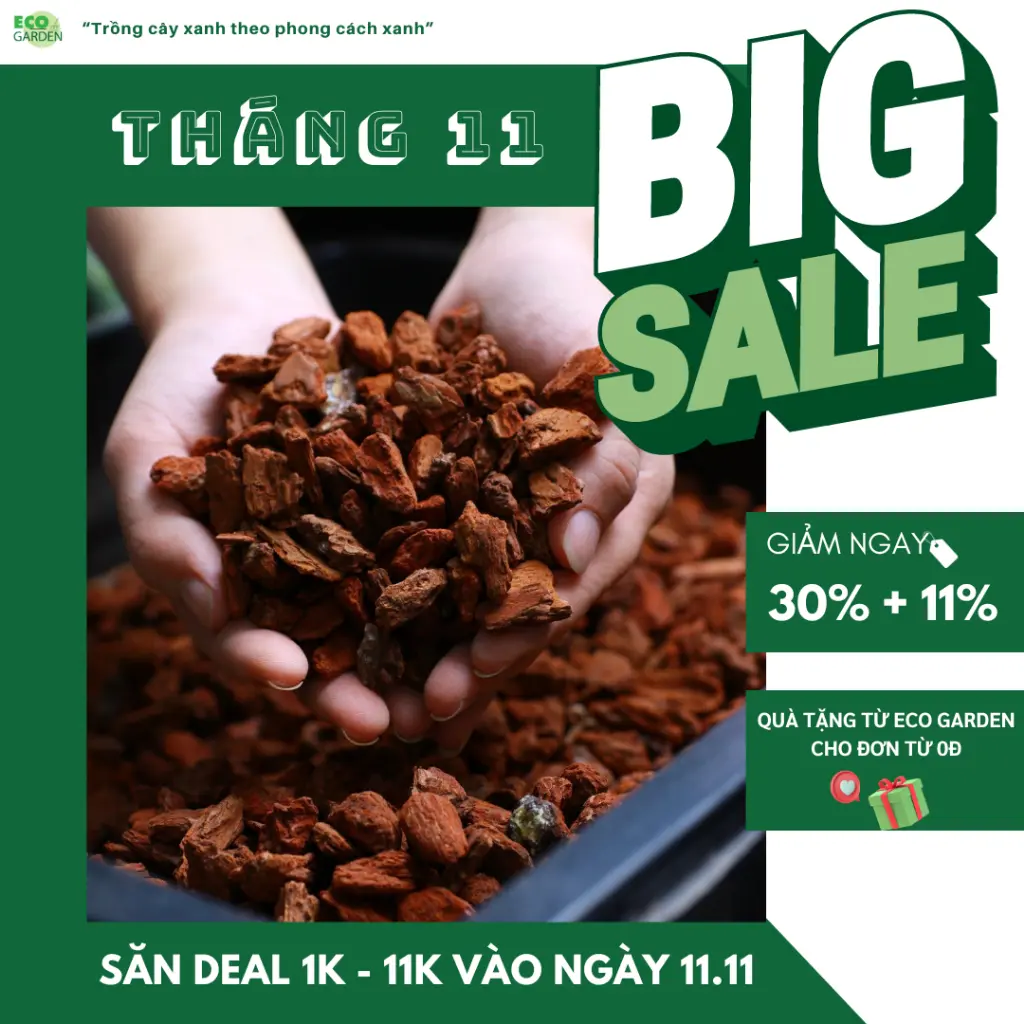[Giảm 30%+11%] Túi 500G - Vỏ thông size 9-10mm phù hợp trồng lan - Thoát nước tốt, hạn chế mầm bệnh