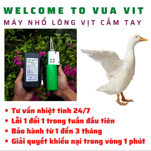 Vua Vịt