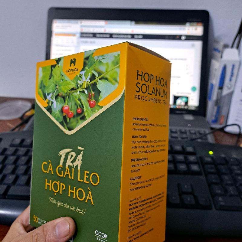 Trà cà gai leo Hợp Hòa- Kết Hợp (Cà gai leo + Xạ đen + Cỏ Ngọt) - Ocop 4 sao. Nước Trà Chè 9