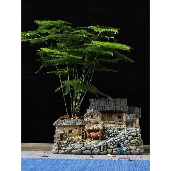 nhà mô hình cây cảnh trồng tiểu cảnh trong nhà 1