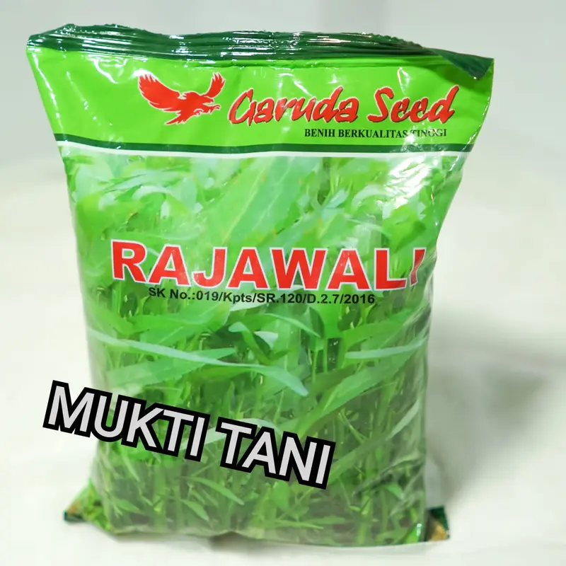 Benih Kangkung Rajawali 1 kg | bibit kangkung Garuda Seed 0