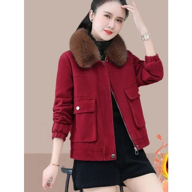 Áo Khoác Dày, Lót Lông Cừu, Parka Ngắn, Có Cổ Lông, Áo Khoác Độn Bông Cho Nữ, Thời Trang Mới 2023, Quần Áo Mùa Đông Phổ Biến Cho Nữ