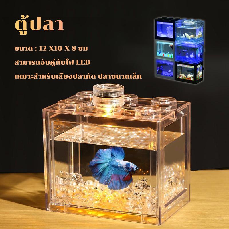 Bể , Tự Làm, Thích Hợp Để Nuôi  Đấu Đấu Và  Nhỏ, Tùy Chọn Màu Đèn LED Miễn Phí, Hàng Nhập Khẩu hồ show cá kệ ghé ăn 0
