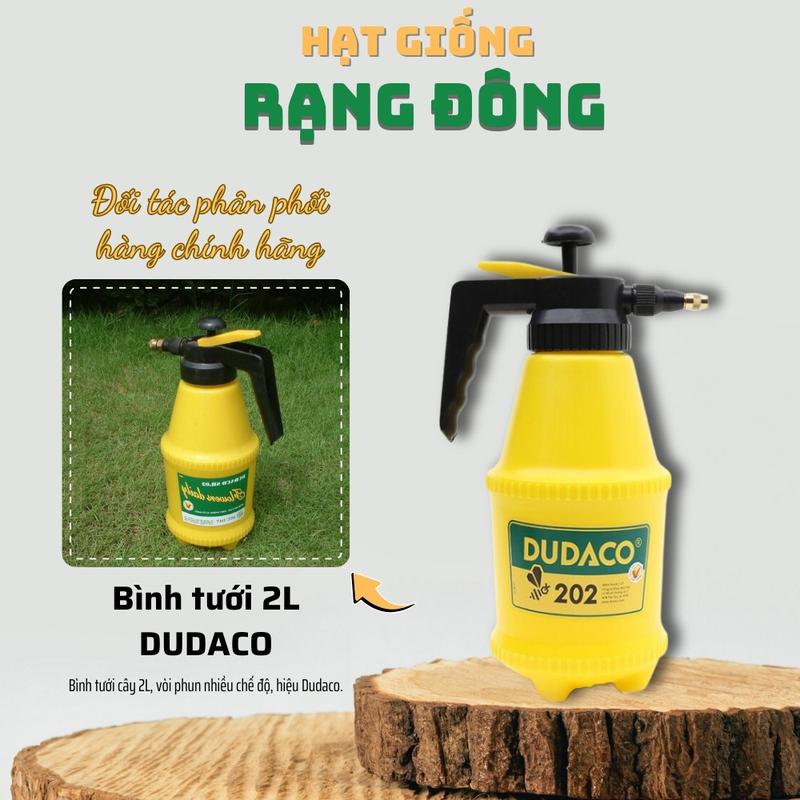Bình Tưới Cây Phun Sương 2 Lít - Nhựa Dudaco, nhiều chế độ phun, dùng để xịt thuốc, phân cho cây - Hạt giống Rạng Đông