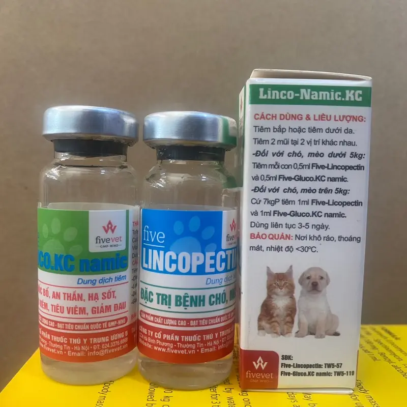 Linco-Namic.Kc nhiễm khuẩn tiêu hoá, viêm ruột, kiết lỵ, nôn mửa, hạ sốt, tiêu hoá Chó, Mèo Combo 10ml (thuốc bổ dùng cho thú cưng) khuyến mãi mua 5 tặng 1. 2
