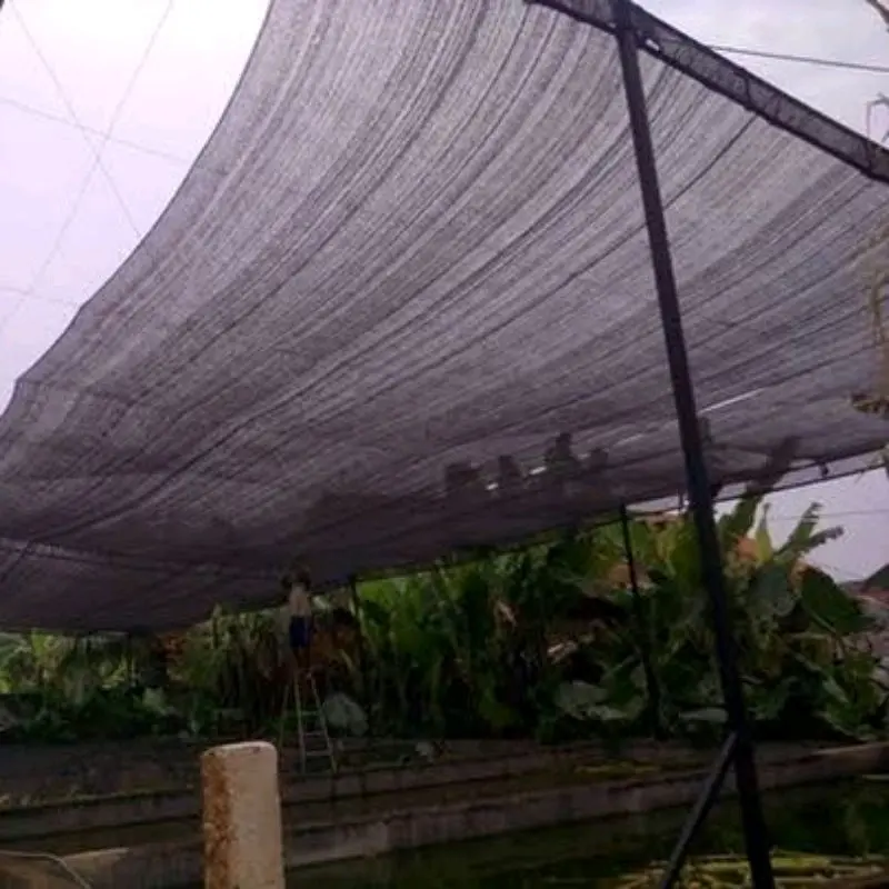 Paranet Lebar 3 meter 90% eceran jaring tanaman anti matahari Tomat 3