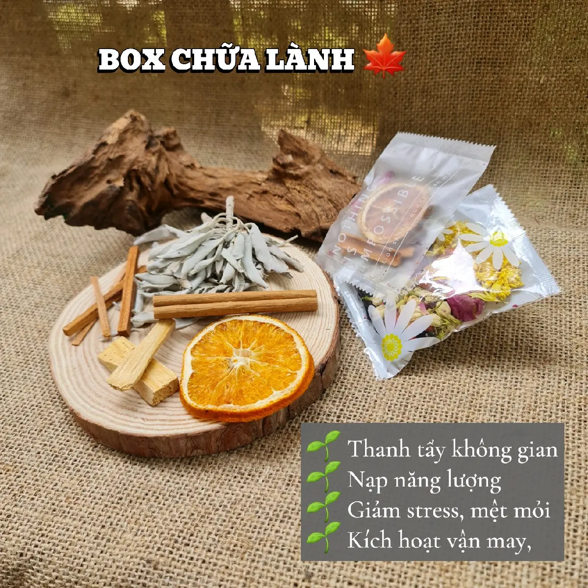 Combo chữa lành lá xô thơm , gỗ Palo Santo