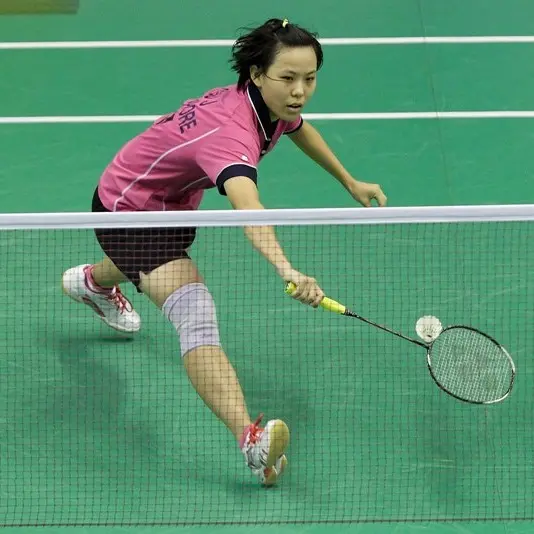 Lưới Cầu Lông Đơn Kích Thước 4,8m x 0,76m - Hàng Việt Nam 0