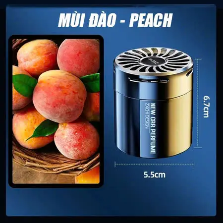 Sắp Thơm Ô Tô Cao Cấp Chính Hãng Botany Perfume, Khử mùi, Lưu Hương 360 Ngày, Phiên Bảng Nâng Cấp Nội Thất 6
