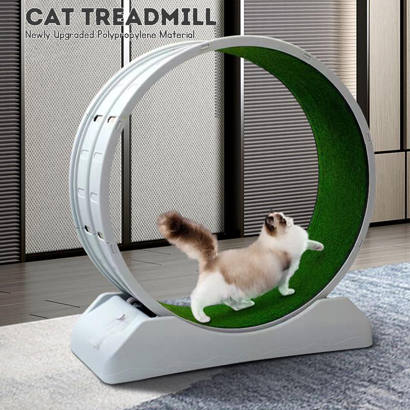 Product Introduction of Silent rolling solid wood fiberboard cat and dog treadmill running wheel pet exercise fitness gym toy 54