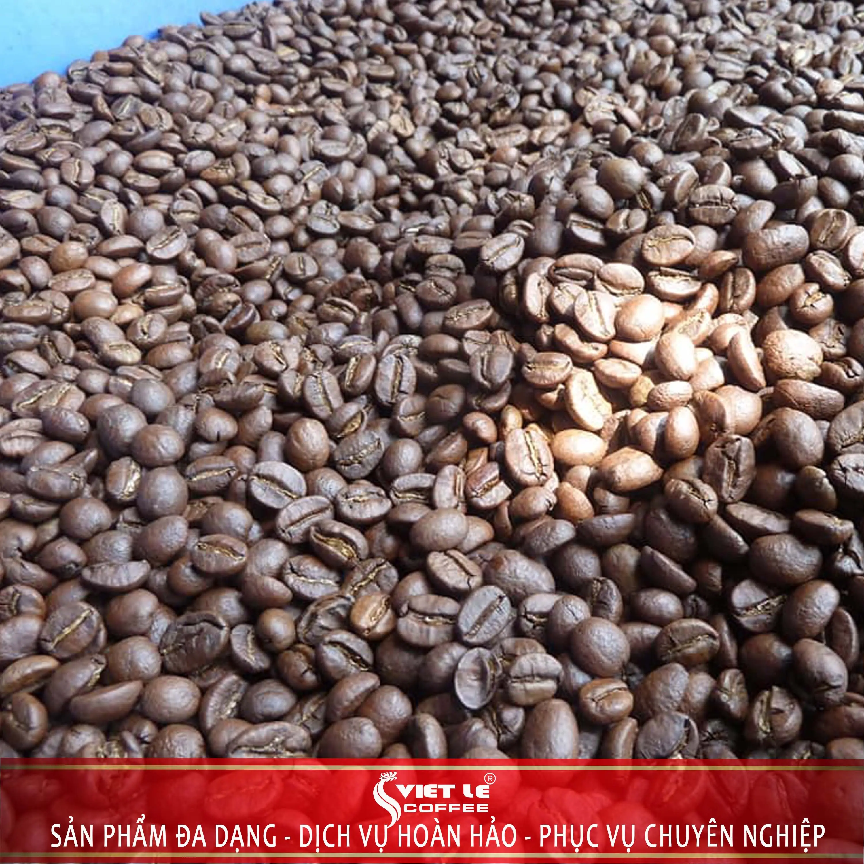 500g cà phê Arabica rang mộc Viet Le coffee - Arabica rang mộc bột/hạt Cafe