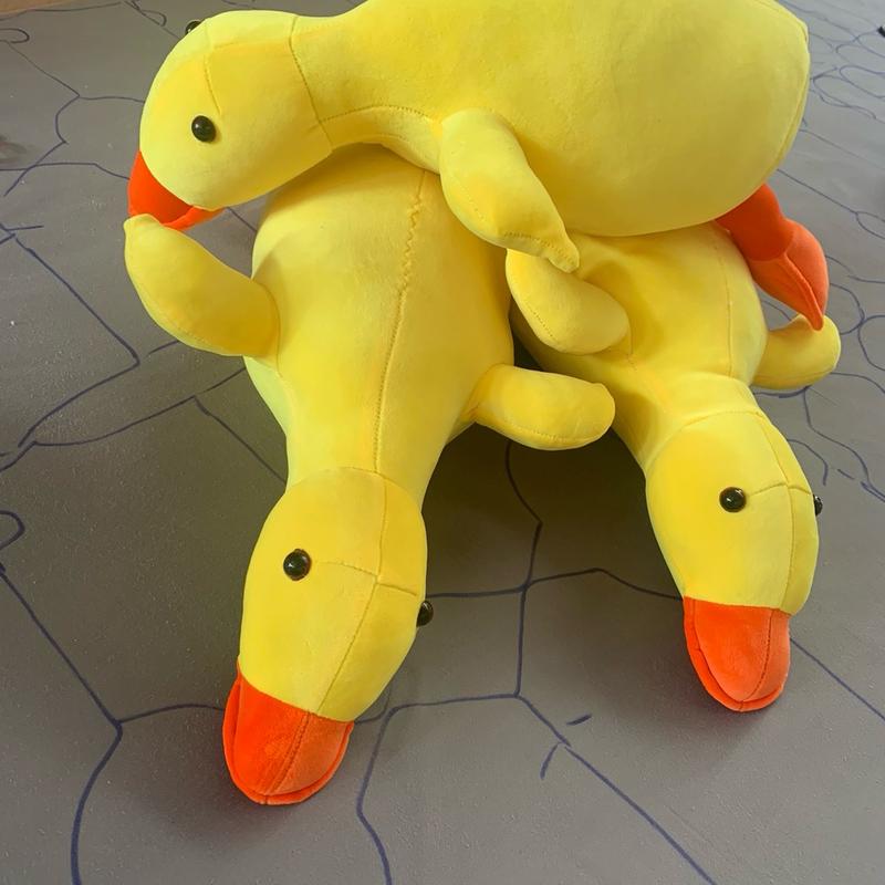 công bo vịt vàng chất liệu vải mimiso cogian 4chiều