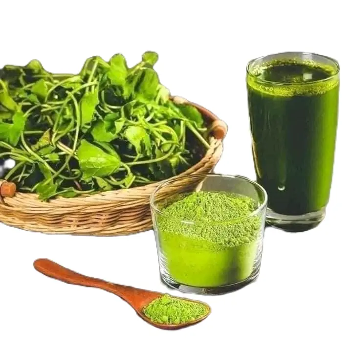 BỘT RAU MÁ SẤY LẠNH ( bột nguyên sơ) (  hộp 500gr) xem phần lưu ý trước khi đặc hàng 2
