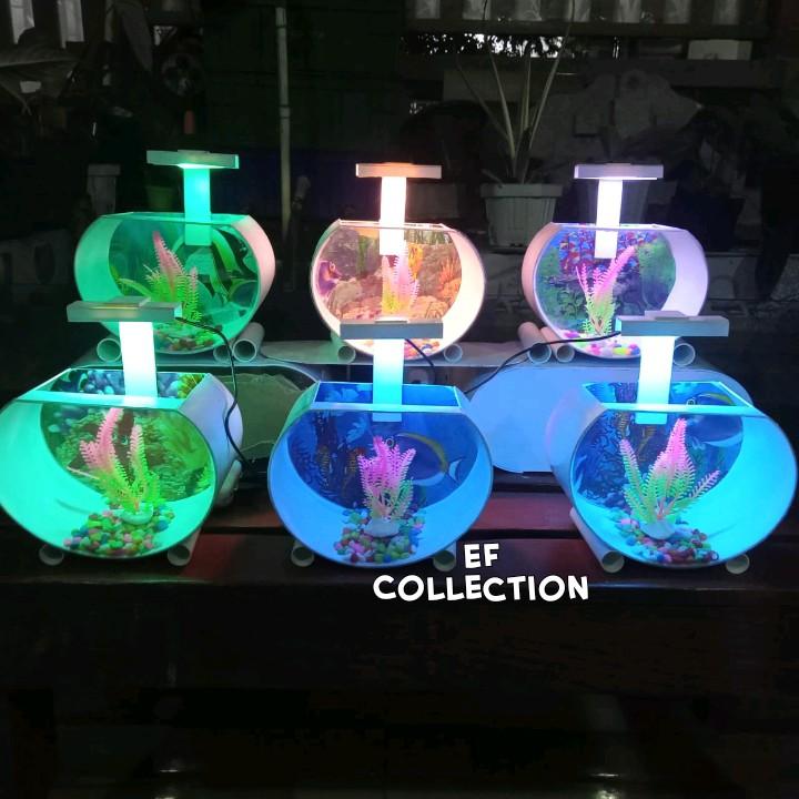 Akuarium Mini ikan hias Unik bergaransi full set dengan lampu 2