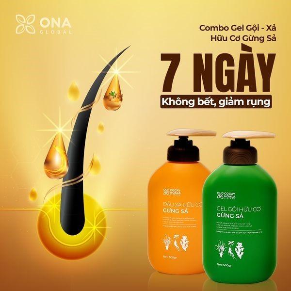 [HCM] Combo dầu gội xả hữu cơ gừng sả Cocayhoala - Ngăn dầu bết tóc và giảm gàu ngứa rụng tóc, giúp mái tóc bồng  bềnh gel và chất lỏng kiểm soát dầu dầu gội & dầu xả