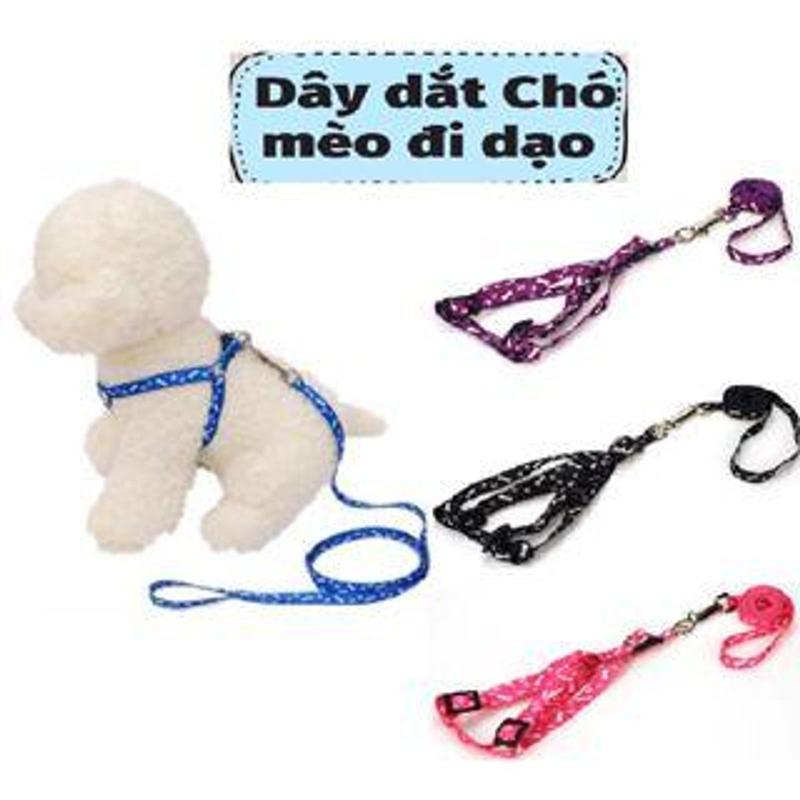 Dây dắt cho thú cưng loại siêu rẻ