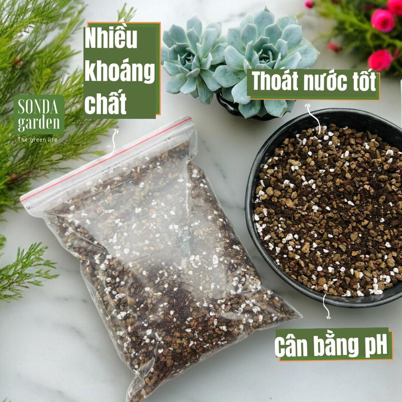 Đất trồng sen đá trong truyền thuyết 1kg SONDA garden chuẩn dân chơi