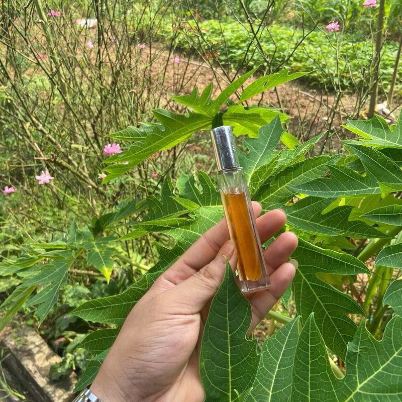 Dầu quế dạng xịt thơm lâu 1