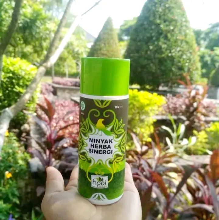 Minyak Herba Sinergi HNI Minyak Pijat Urut Tubuh