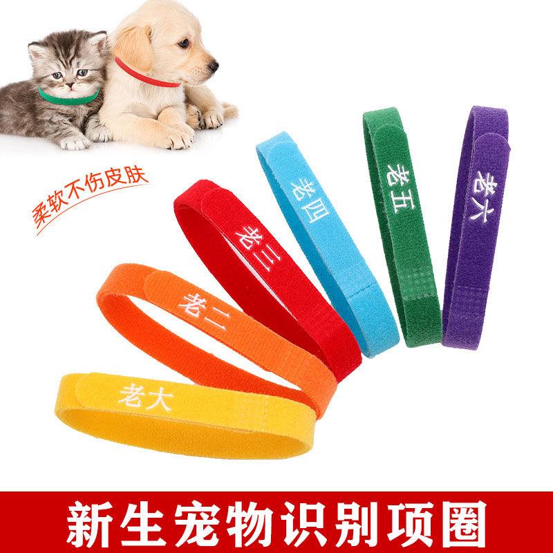Product Introduction of Vòng Cổ Phân Loại Thú Cưng, Hàng Mới Về Năm 2025, Dành Cho Mèo Con Và Chó Con, Vòng Cổ Nhận Dạng, Thích Hợp Cho Chó Con Và Mèo Sơ Sinh, Vòng Cổ Thứ Tự Sinh, Thích Hợp Cho Chó Sữa 0
