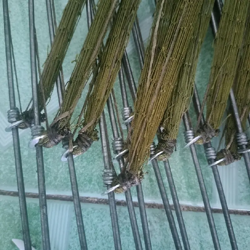 1bộ 10 cung sóc mắt 4p (2then)  lứoi dài 85cm  thép dài 1m2 câu cá fishing 3
