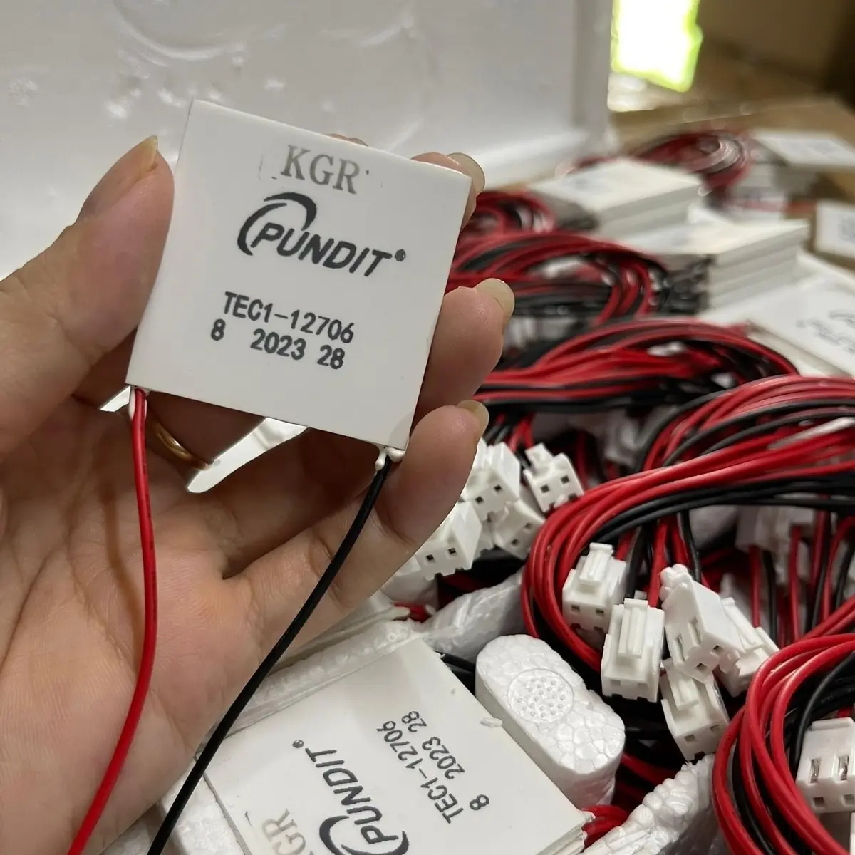 Chíp lạnh kangaroo máy lọc nước