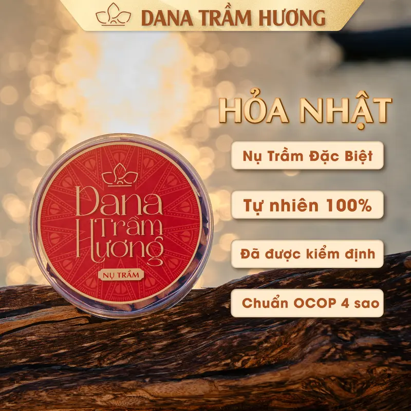 Combo Nụ Trầm Hương Đặc Biệt Tự Nhiên - DANA Thủy Nguyệt - Hỏa Nhật -Thổ Sơn (Nụ Sen), Trầm Sạch, Hương Thơm Ngọt Dịu, Phong Thủy 2