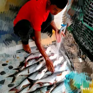 Danh fishing
