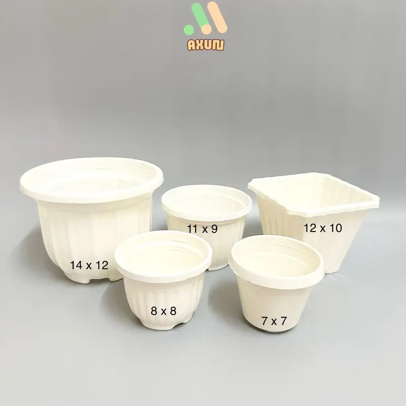 Chậu nhựa cứng tròn trắng mini trồng sen đá và xương rồng 6