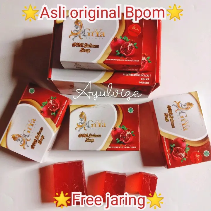 SABUN GRYA BEAUTY DNA SALMON BPOM Semua Jenis Kulit Mencerahkan