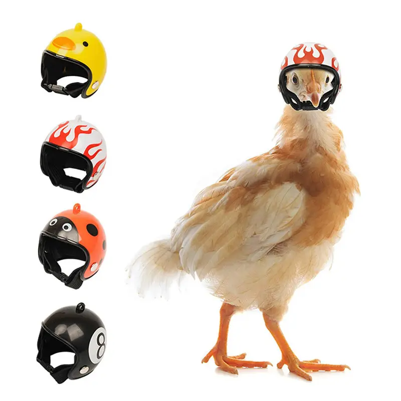 1pcs Chicken Helmet Fuuny Hat Hen PetProtective Gear Sunscreen Rain Helmet Toy PetSmall Pet Supplies Clothing Accessories