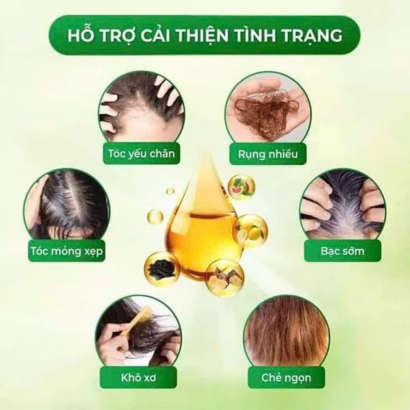 Product Introduction of Một Chai Dầu Gội Bồ Kết Men Gạo Hiền Bùi 500ml 9