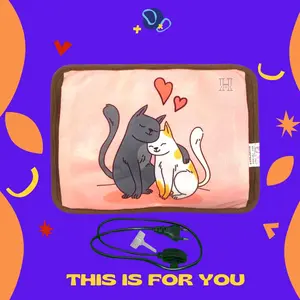 BANTAL PENGHANGAT / BANTAL PEMANAS / BANTAL VIRAL BED / HEATING PAD Box