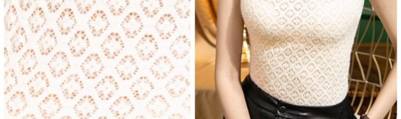 Product Introduction of Áo Vest Ren Cổ Cao, Cổ Áo Giả Dễ Phối Đồ Cho Nữ, Cổ Áo Có Thể Tháo Rời Đệm Nhung, Thích Hợp Cho Mùa Thu Và Mùa Đông, Áo Lớp Nền Không Tay Lưới, Có Thể Đeo Bên Trong, Cho Nữ 2