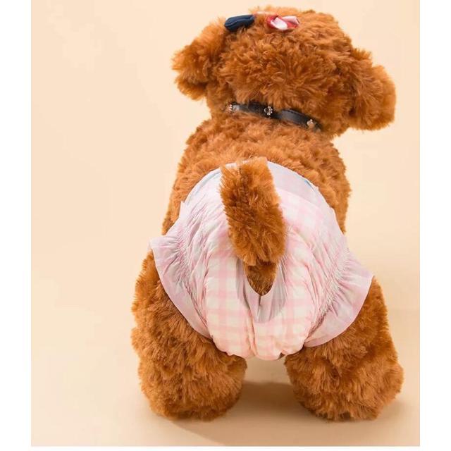 Product Introduction of Bỉm (tã lót) cho các Boss 🐶🐱 34