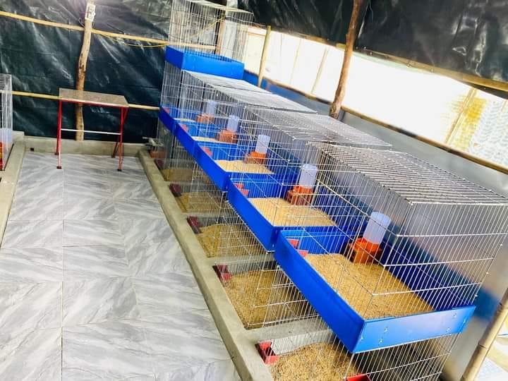 CHUỒNG NAN KHÍT 60Vuông (60X60X60) NAN THƯA , lòng nan khít ,chuồng gà , lòng gà, lòng gà ráp sẳn, chuồng gà lắp ráp , lòng vuông , chuồng vuông ,chuồng kẽm, lòng kẽm CHỐNG CHUỘT, MÈO... NUÔI CÁC CON VẬT BÉ  NHỎ