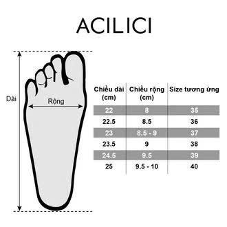 Product Introduction of Giày cao gót da mềm mũi cách điệu gót nhọn dây cài xinh xắn A666 (6 phân) 0