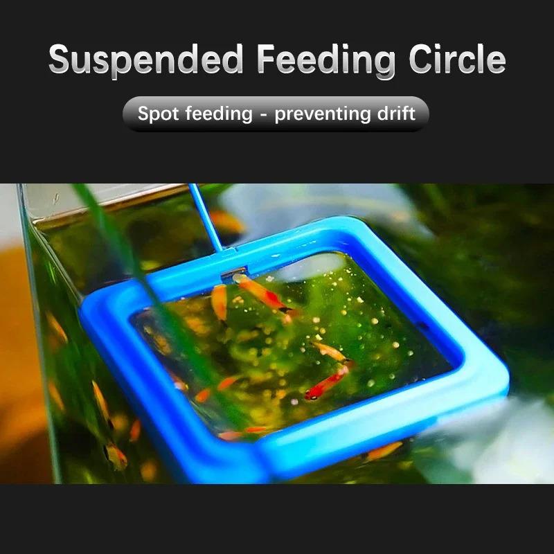 New Fish Feed Feeding Circle Aquarium Fish Tank Tropical Fis - TikTok ...